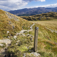 Buy canvas prints of Upland Path in Snowdonia by Pearl Bucknall