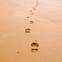 Buy canvas prints of Footprints on Fife Coastal Path Across a Beach by Pearl Bucknall
