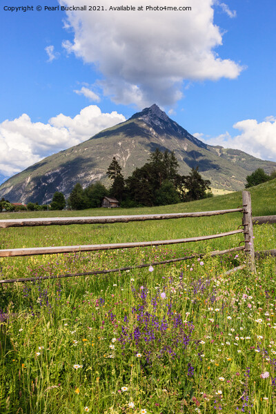 Summer Meadow and a Mountain Picture Board by Pearl Bucknall