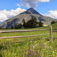 Buy canvas prints of Summer Meadow and a Mountain by Pearl Bucknall