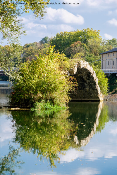Pont Roman Reflections in Doubs River Picture Board by Pearl Bucknall