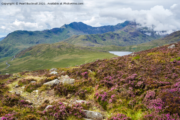 Snowdon Horseshoe and Heather Picture Board by Pearl Bucknall