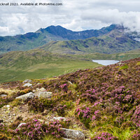 Buy canvas prints of Snowdon Horseshoe and Heather by Pearl Bucknall
