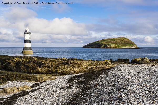 Penmon Point and Puffin Island  on Anglesey Picture Board by Pearl Bucknall
