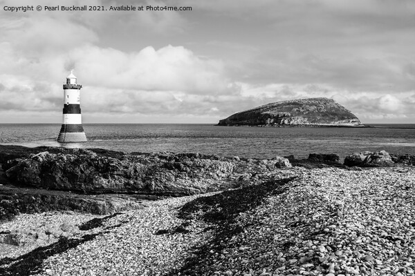 Penmon Point and Puffin Island on Anglesey in Mono Picture Board by Pearl Bucknall