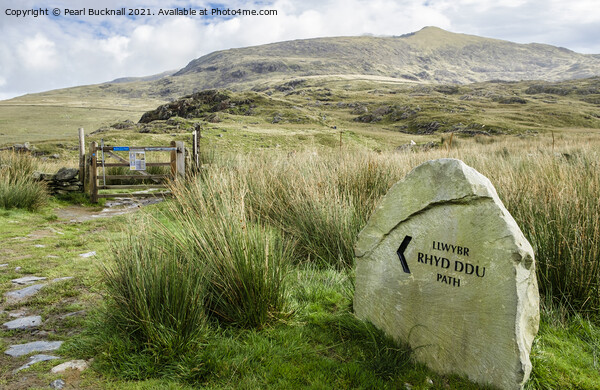 Rhyd Ddu Path to Snowdon Picture Board by Pearl Bucknall