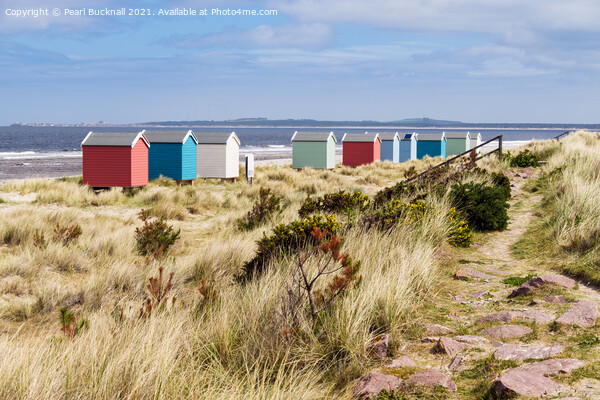Findhorn Beach Huts Scotland Picture Board by Pearl Bucknall