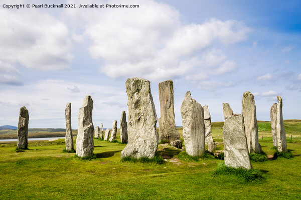Callanish Stone Circle on Lewis Scotland Picture Board by Pearl Bucknall
