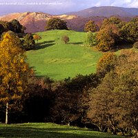 Buy canvas prints of Lake District Countryside in Autumn by Pearl Bucknall