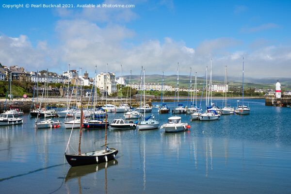 Port St Mary Harbour Isle of Man Picture Board by Pearl Bucknall
