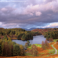 Buy canvas prints of Lake District Tarn Hows in Autumn by Pearl Bucknall