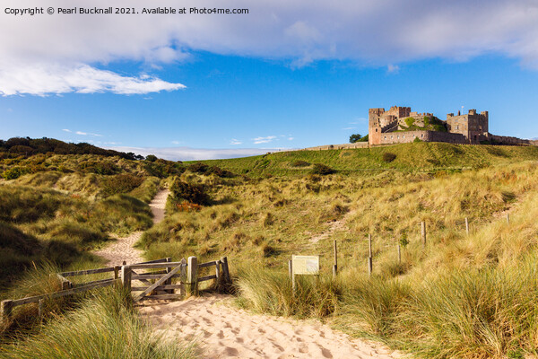 Bamburgh Castle and Dunes Northumberland Picture Board by Pearl Bucknall