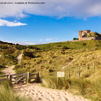 Buy canvas prints of Bamburgh Castle and Dunes Northumberland by Pearl Bucknall