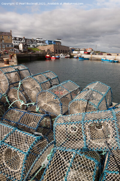 Seahouses Harbour Lobster Pots Northumberland  Picture Board by Pearl Bucknall
