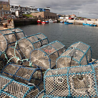Buy canvas prints of Seahouses Harbour Lobster Pots Northumberland  by Pearl Bucknall