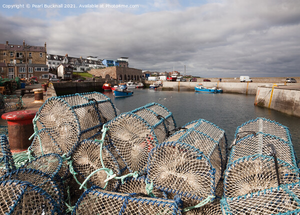 Lobster Pots in Seahouses Harbour Northumberland Picture Board by Pearl Bucknall