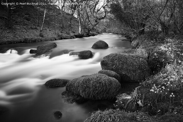 Afon Dwyfor River in Winter Black and White Picture Board by Pearl Bucknall