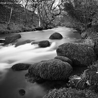 Buy canvas prints of Afon Dwyfor River in Winter Black and White by Pearl Bucknall
