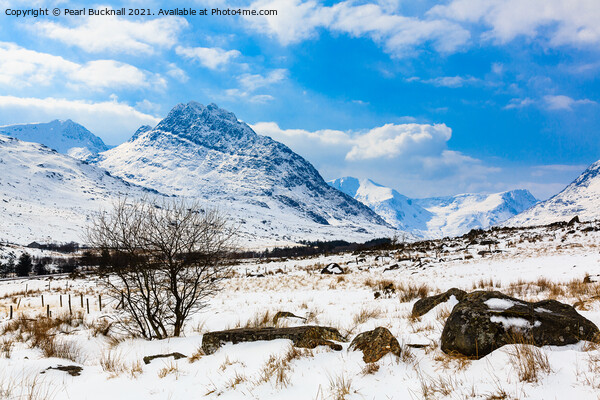 Winter Snow in Ogwen Valley with Mount Tryfan in S Picture Board by Pearl Bucknall