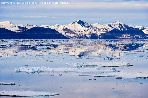 Sea Ice and Spitsbergen Island Reflections Norway Picture Board by Pearl Bucknall
