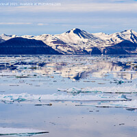 Buy canvas prints of Sea Ice and Spitsbergen Island Reflections Norway by Pearl Bucknall