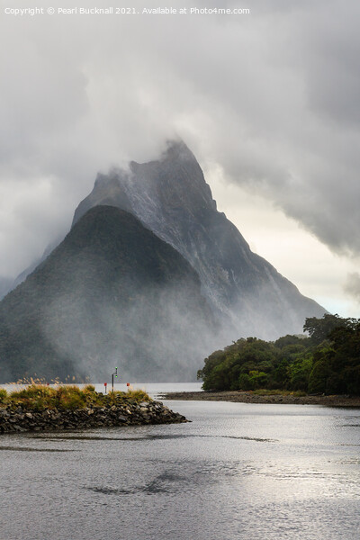 Moody Milford Sound New Zealand Picture Board by Pearl Bucknall