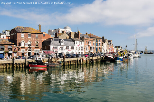 Custom House Quay in Weymouth Harbour Picture Board by Pearl Bucknall