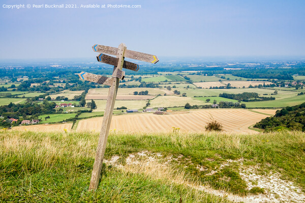 South Downs Path View West Sussex Picture Board by Pearl Bucknall