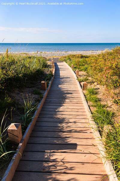 Pathway to a beach Picture Board by Pearl Bucknall