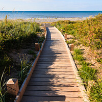 Buy canvas prints of Pathway to a beach by Pearl Bucknall