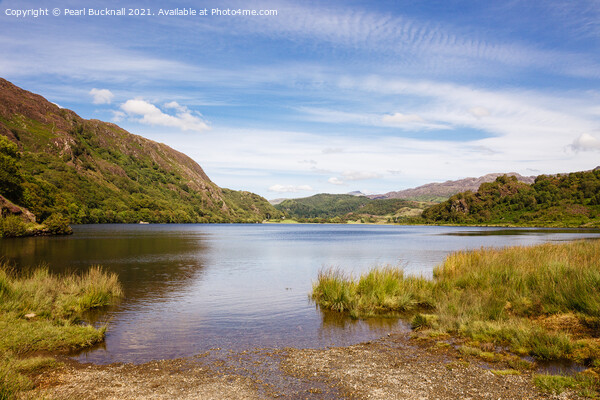 Llyn Dinas Lake in Snowdonia Wales Picture Board by Pearl Bucknall