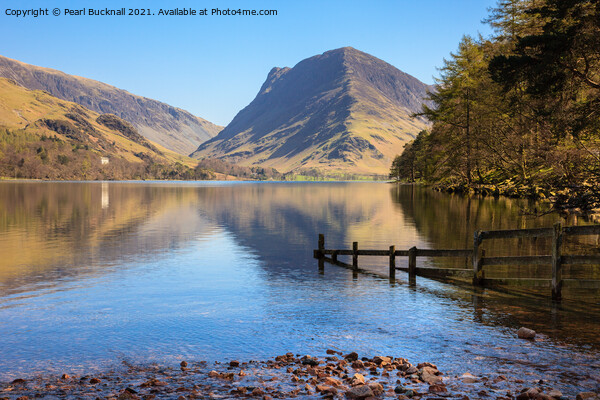 Fleetwith Pike Reflections in Buttermere Lake Dist Picture Board by Pearl Bucknall