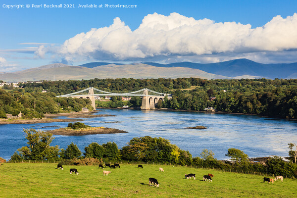 Scenic Menai Strait Anglesey North Wales Picture Board by Pearl Bucknall