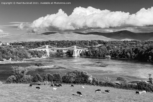 Scenic Menai Strait Anglesey in Black and White Picture Board by Pearl Bucknall