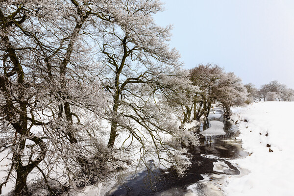 Peak District Country Snow Scene Picture Board by Pearl Bucknall