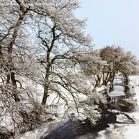 Buy canvas prints of Peak District Country Snow Scene by Pearl Bucknall