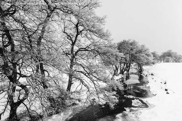 Peak District Winter Snow Scene Picture Board by Pearl Bucknall