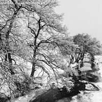 Buy canvas prints of Peak District Winter Snow Scene by Pearl Bucknall