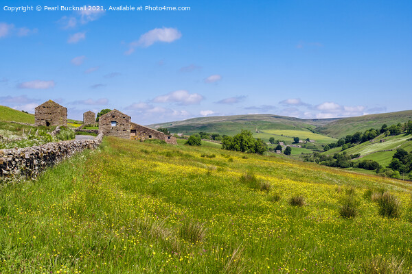 Barns and Meadow in Yorkshire Dales Countryside Picture Board by Pearl Bucknall
