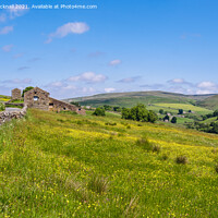 Buy canvas prints of Barns and Meadow in Yorkshire Dales Countryside by Pearl Bucknall