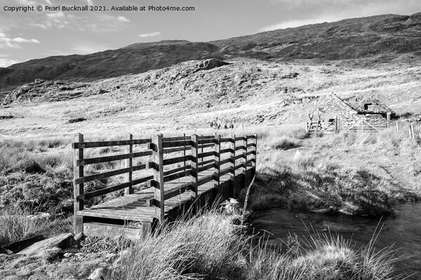 Monochrome Footbridge in Snowdonia Wales Picture Board by Pearl Bucknall