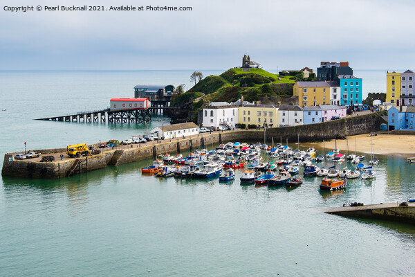 Old Tenby Harbour in Pembrokeshire Wales Picture Board by Pearl Bucknall