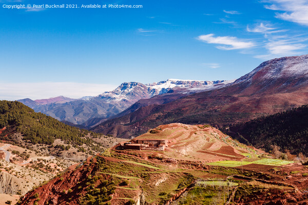 Terraced Hillside in High Atlas Mountains Morocco Picture Board by Pearl Bucknall