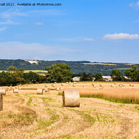 Buy canvas prints of Harvest Time in Yorkshire Countryside by Pearl Bucknall