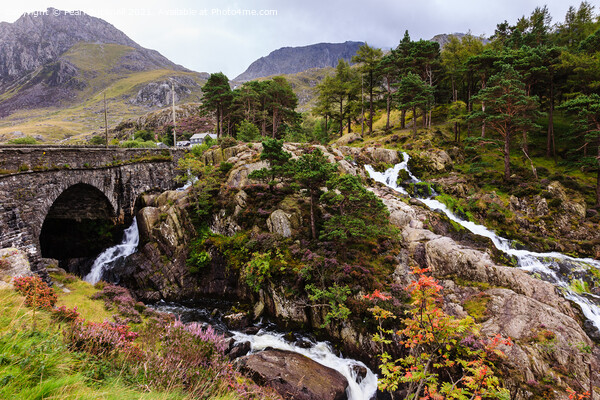 Afon Ogwen Waterfall Snowdonia Wales Picture Board by Pearl Bucknall
