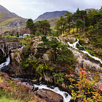 Buy canvas prints of Afon Ogwen Waterfall Snowdonia Wales by Pearl Bucknall