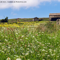 Buy canvas prints of Wildflower Meadow in Yorkshire Dales Countryside by Pearl Bucknall