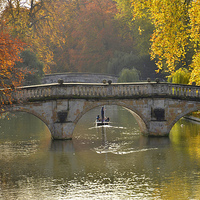 Buy canvas prints of Punting on the Cam by David Laws
