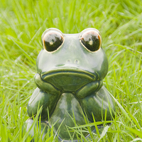 Buy canvas prints of Frog in the grass by Bernd Tschakert
