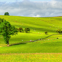 Buy canvas prints of Yorkshire Dales hills and pasture, England, UK by Bernd Tschakert
